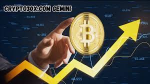 crypto30x.com gemini